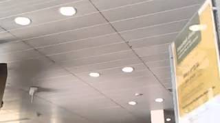 chunkymark / Chunky Mark / Daddy's Pig / The Artist Taxi Driver